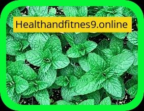 advantages of eating mint leaves